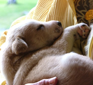 Alaska, where nature reigns supreme